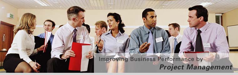 Improving Business Performance by Project Management